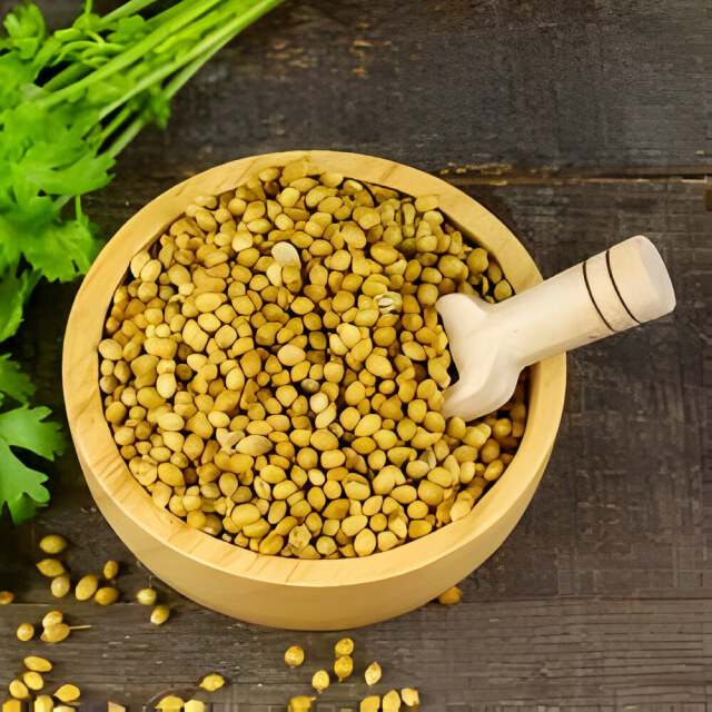 CORIANDER WHOLE