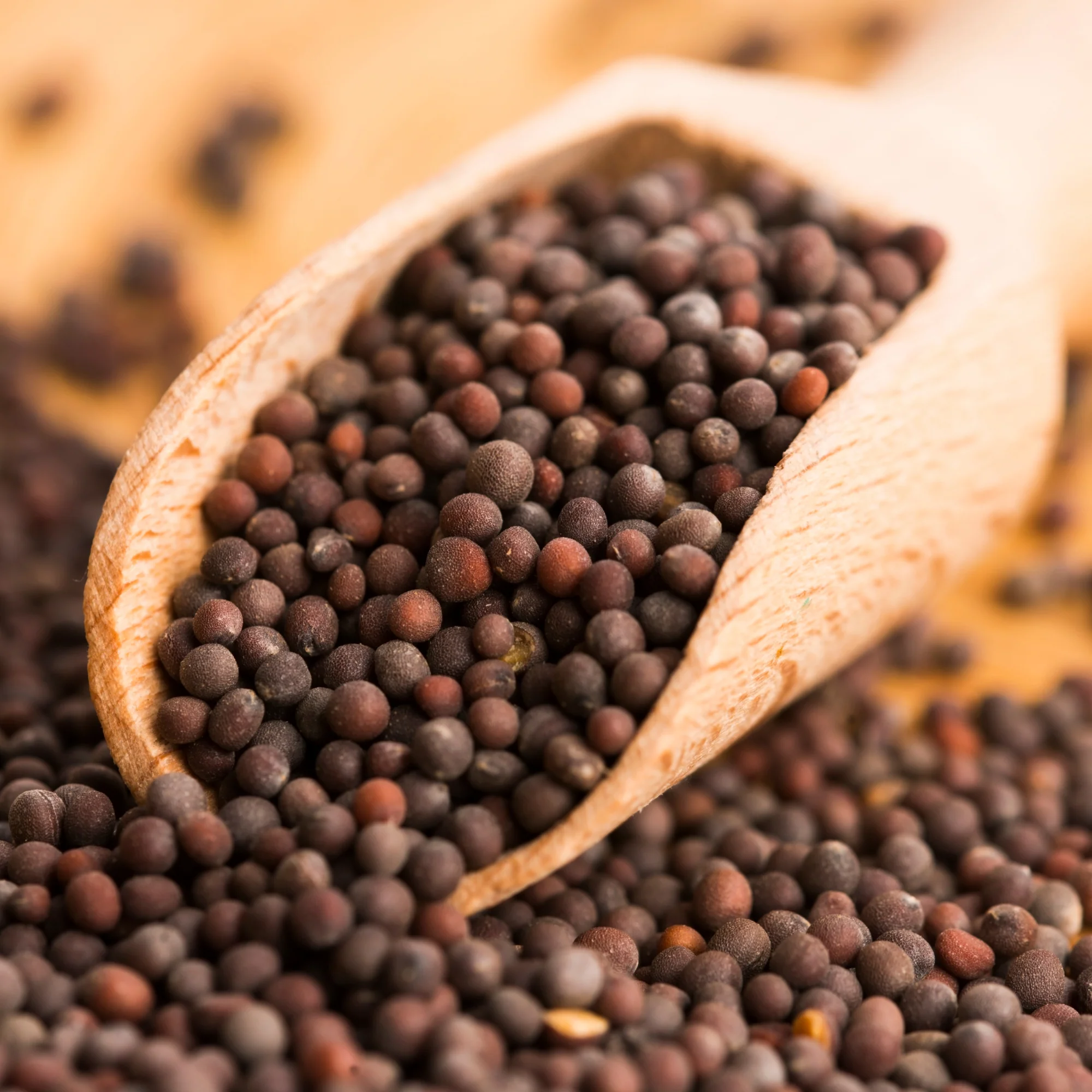 MUSTARD SEEDS (RAI)